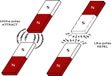 vertical magnet